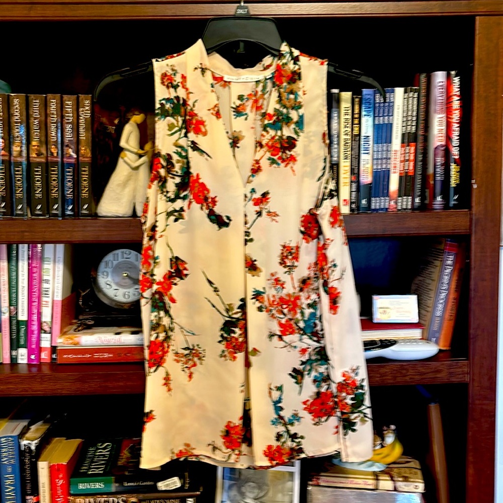 Ladies top